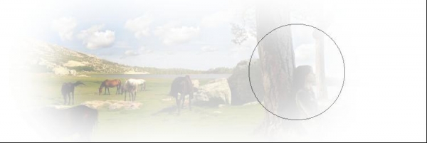Creation of wild horses: Step 6